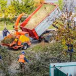 Emergency Tree Removal Companies Near Me You Can Rely On Anytime