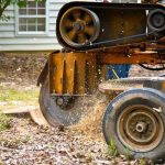 Tree Removal Service Mobile Ready for Emergency Situations