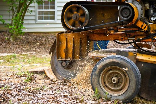 Tree Removal Service Mobile Ready for Emergency Situations