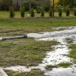 Complete Drain Field Care for Loganville Property Owners