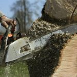 Sindt Tree Service Auburn Offers Dependable Tree Services