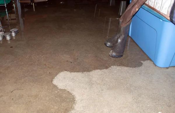 Crawl Space Repair in Prince George for Improved Home Durability